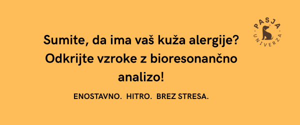 Bioresonančno odkrivanje alergij pri psu s slino