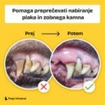 borvo-sprej-proti-zobnemu-kamnu-img-prej-potem