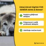 gigivet-for-senior-joints-bones-img-glavne-koristi