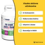 gigivet-for-senior-joints-bones-img-glavne-ucinkovine (1)