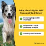 gigivet-max-strong-joints-bones-img-glavne-koristi
