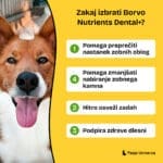 borvo-nutrients-dental-img-glavne-koristi