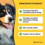 canident-img-glavne-koristi