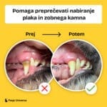 canident-za-zobne-obloge-img-prej-potem