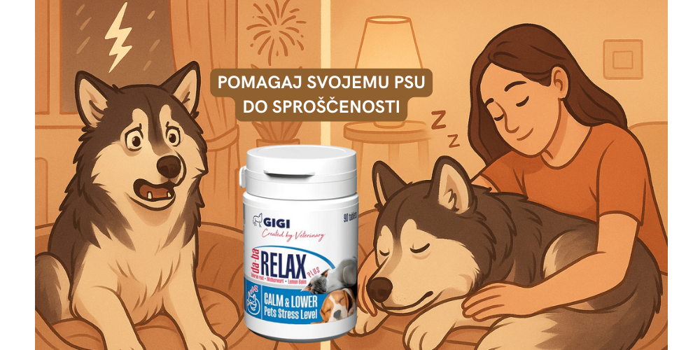 tablete za sprostitev psa