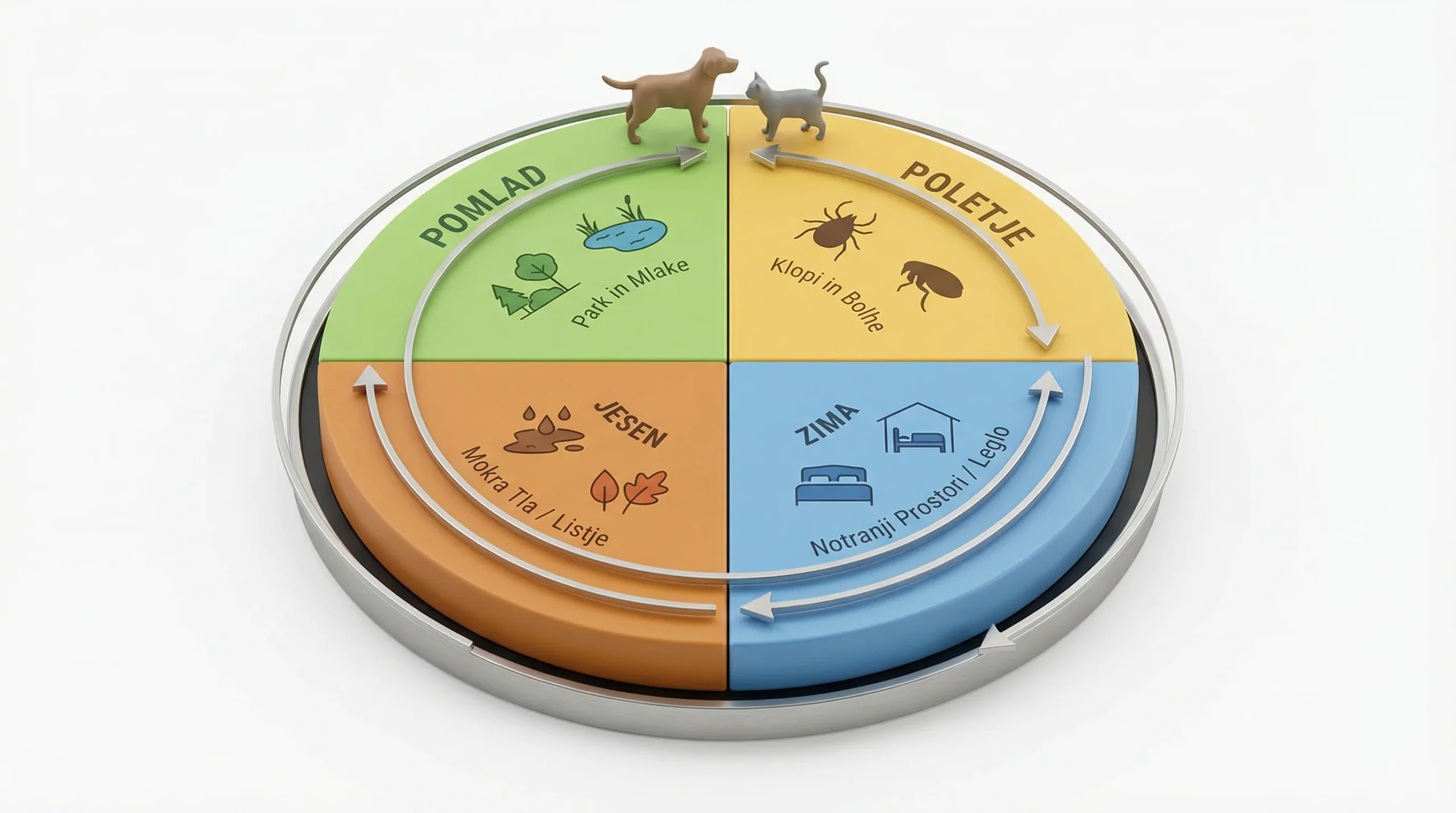 3D render krožnega koledarja tveganj za parazite: kolo razdeljeno na štiri sezonske kvadrante (pomlad, poletje, jesen, zima) z ikonami — park in mlake