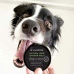 essential-dog-natural-nose-and-paw-balm__77287-urejeno balzam za tačke in smrček
