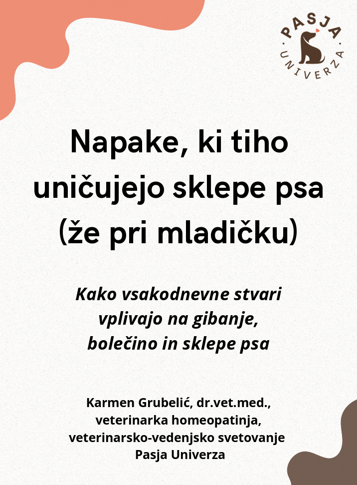 Brezplačni PDF Napake, ki tiho uničujejo sklepe psa