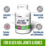 GigiVet FOR SENIOR Joints & Bones – naravna podpora sklepom za starejše pse1 GigiVet FOR SENIOR Joints & Bones – naravna podpora sklepom za starejše pse