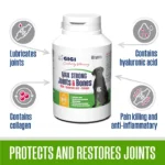 GigiVet MAX Strong Joints & Bones – maksimalna podpora za močne sklepe in kosti aktivnih psov1 GigiVet MAX Strong Joints & Bones – maksimalna podpora za močne sklepe in kosti