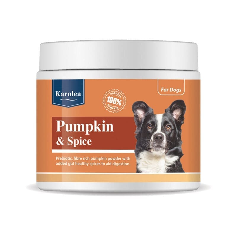 Karnlea Pumpkin & Spice Powder – buča in začimbe v prahu za pse