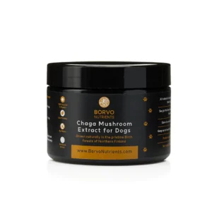 borvo chaga