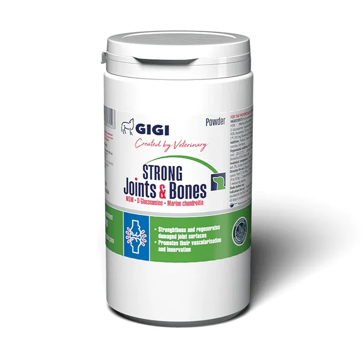 gigivet strong joints – za sklepe psov v prahu gigivet strong joints - za sklepe psov v prahu