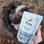 pala_pets_product_lifestyle_images11