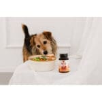 mycotails_mindgut_resasti_bradovec_lions_mane-800x533