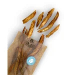 ribji file mr.bones