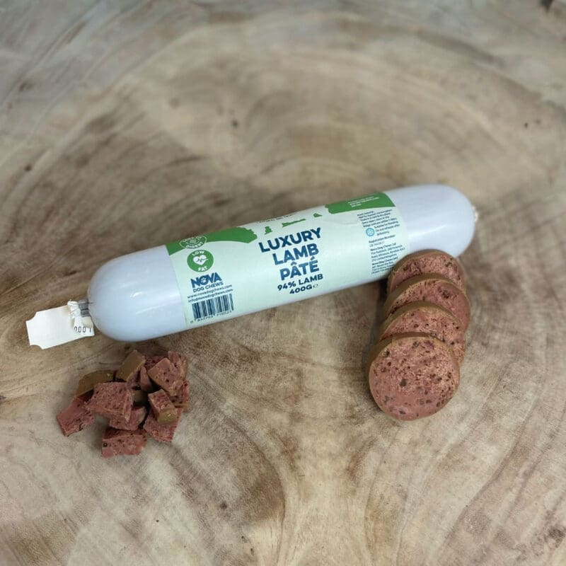 salama-jagnetina