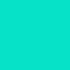 Turkizna