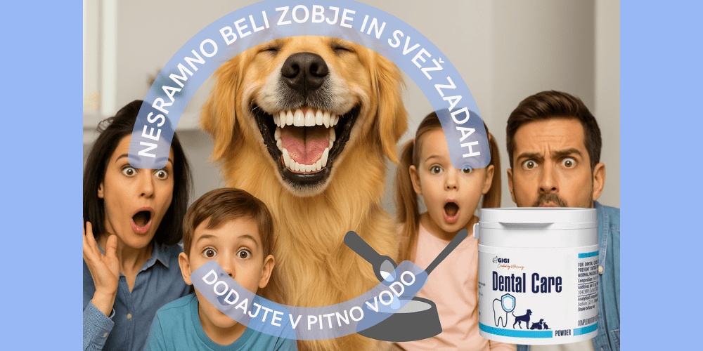 DENTAL CARE GIGIVET