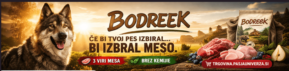 BODREEK