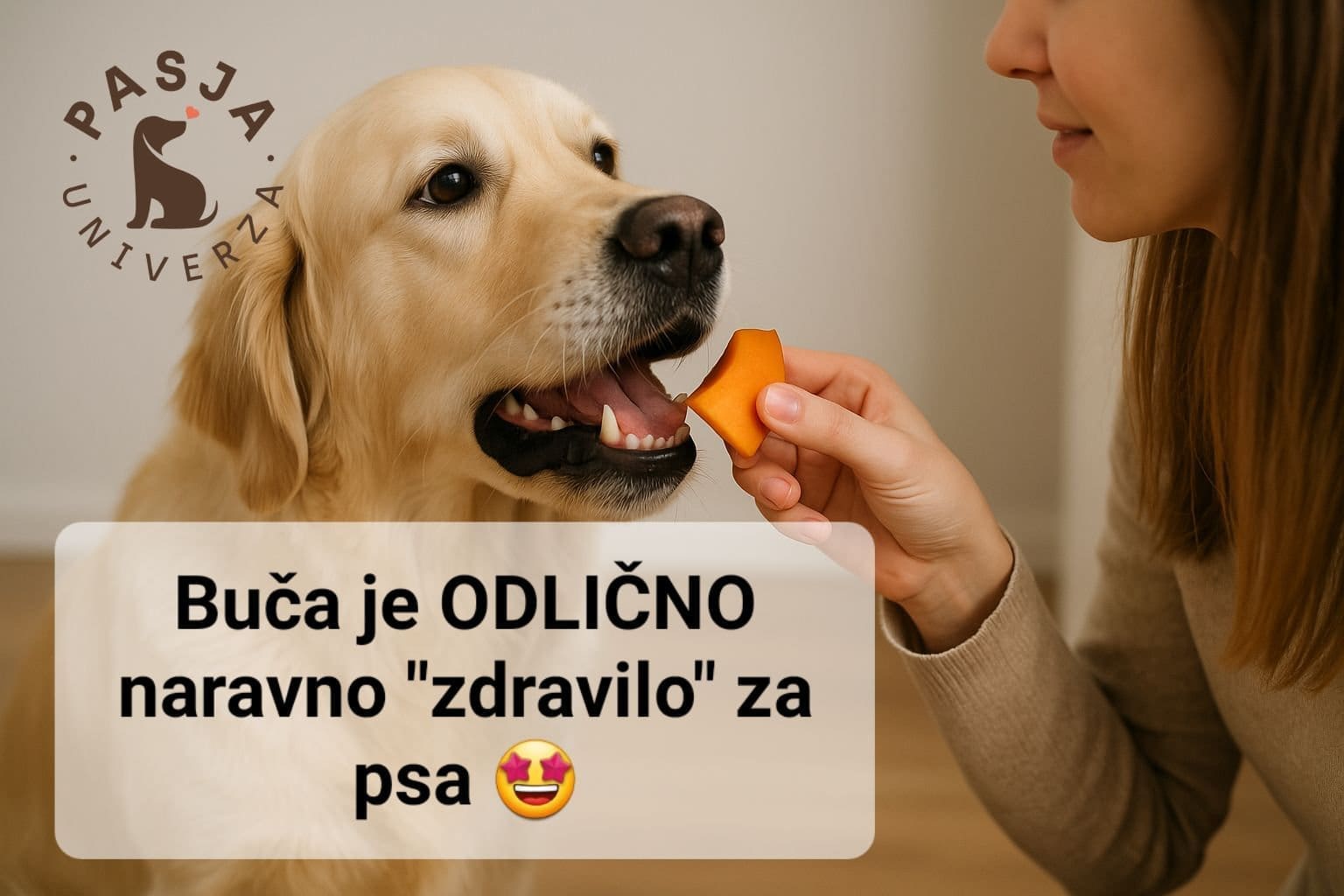 buca za psa