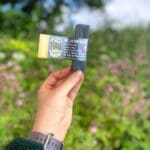 jakova palčka borovnica-urejeno jakova palčka borovnica