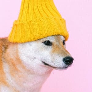 Psi