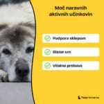 paket-za-seniorje-slika-2