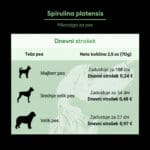 borvo spirulina-urejeno