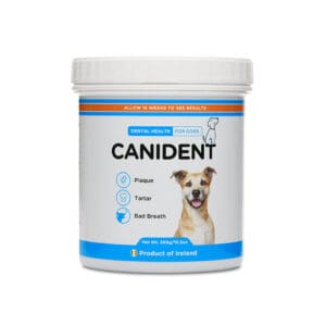 Canident – proti zobnim oblogam iz irskih morskih alg